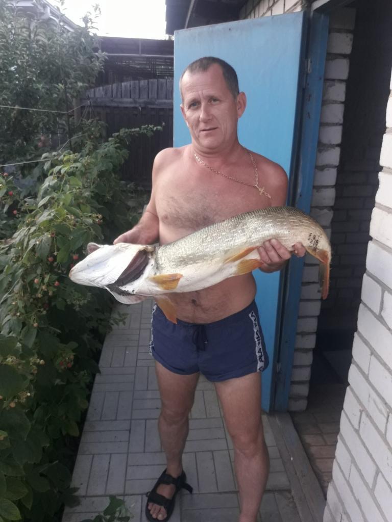 Виталик