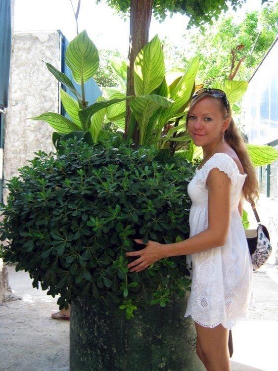 Екатерина