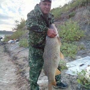 алексей