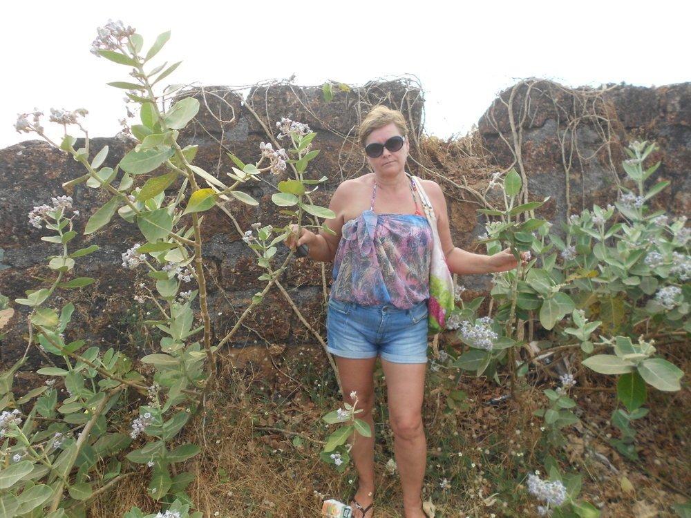 Лана Корн