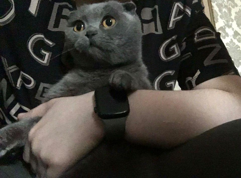 Дима