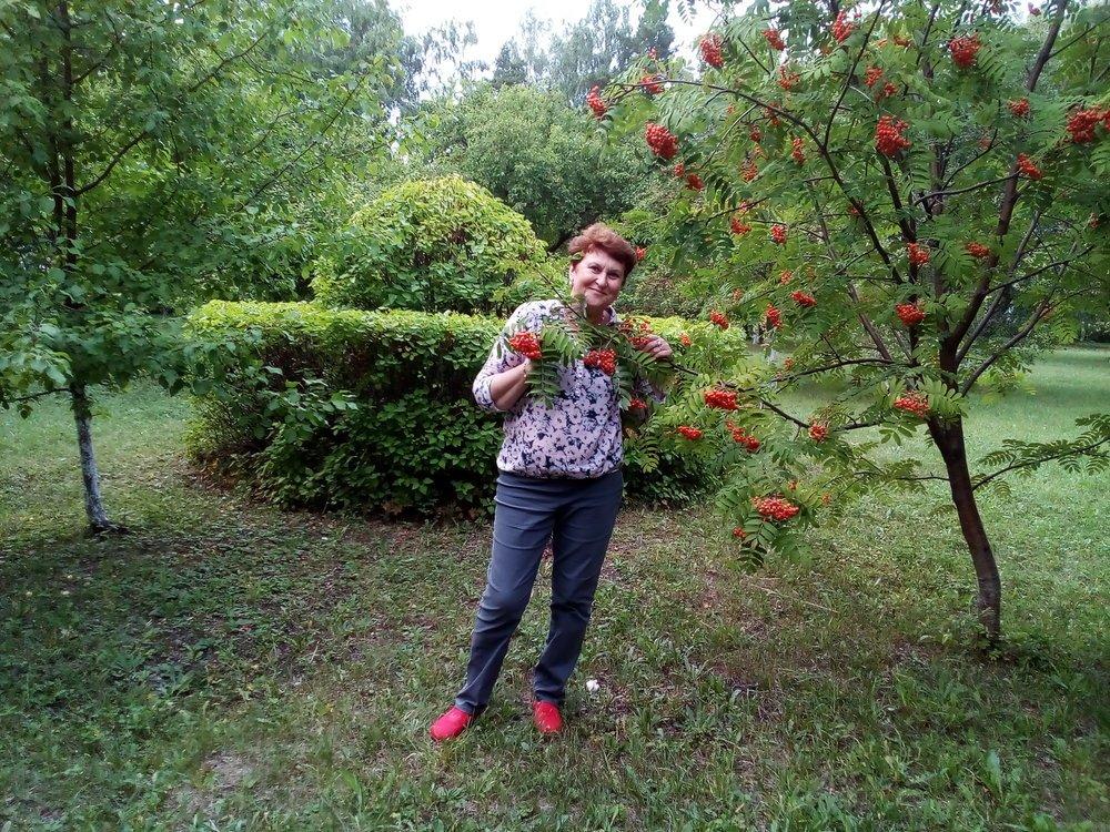 Елена