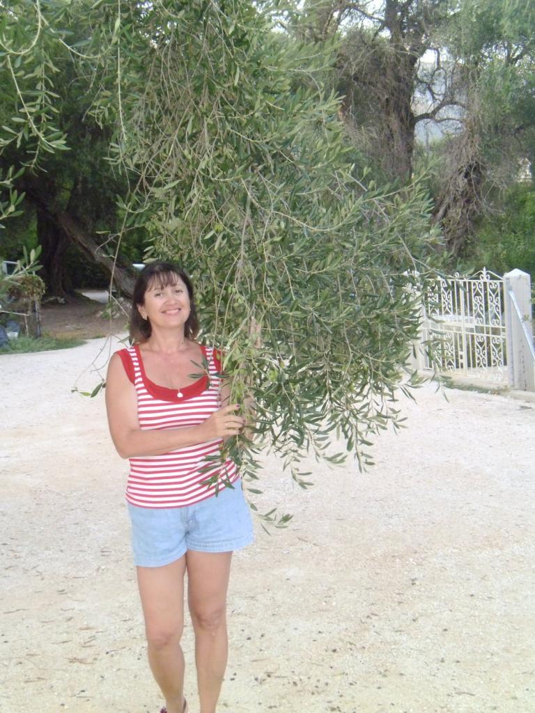 Елена