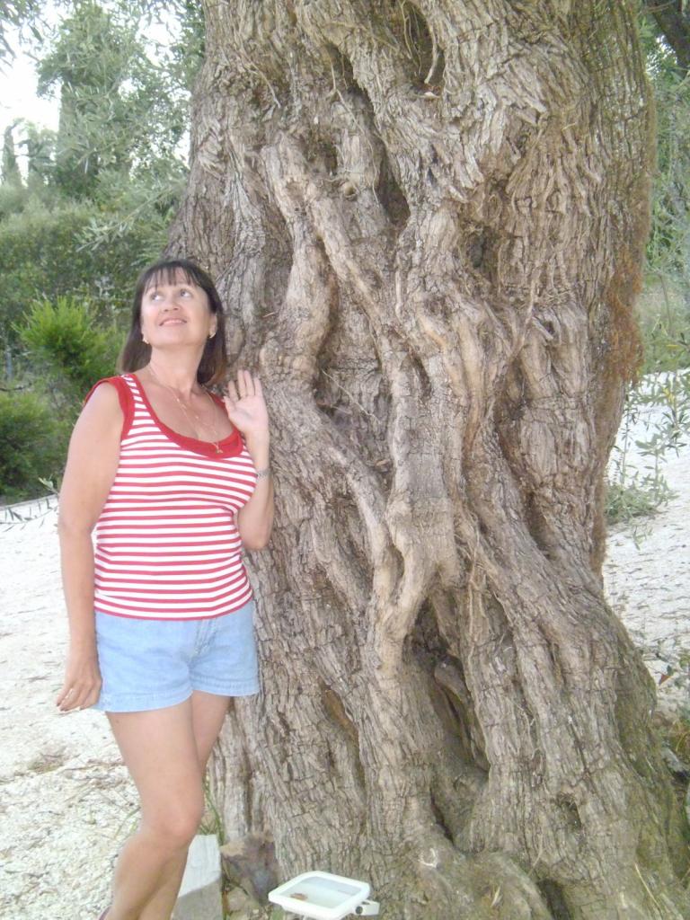 Елена