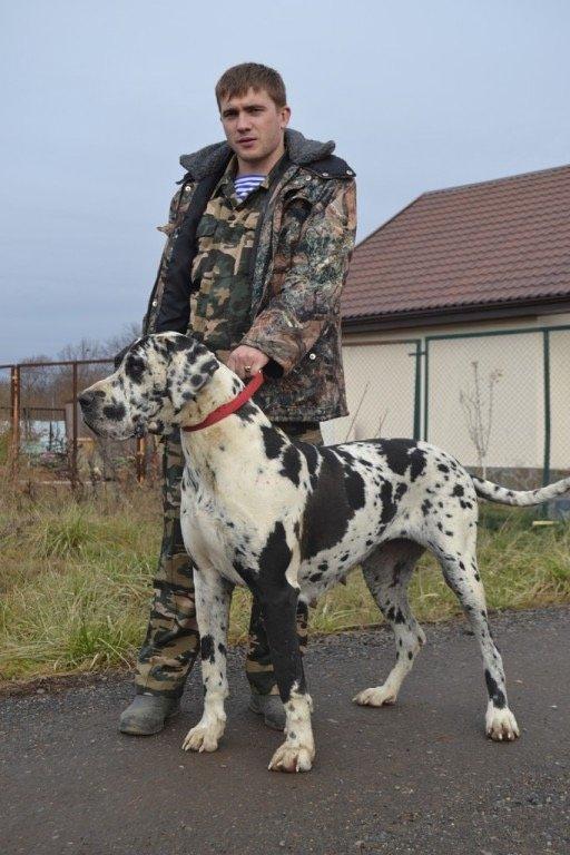 Граф