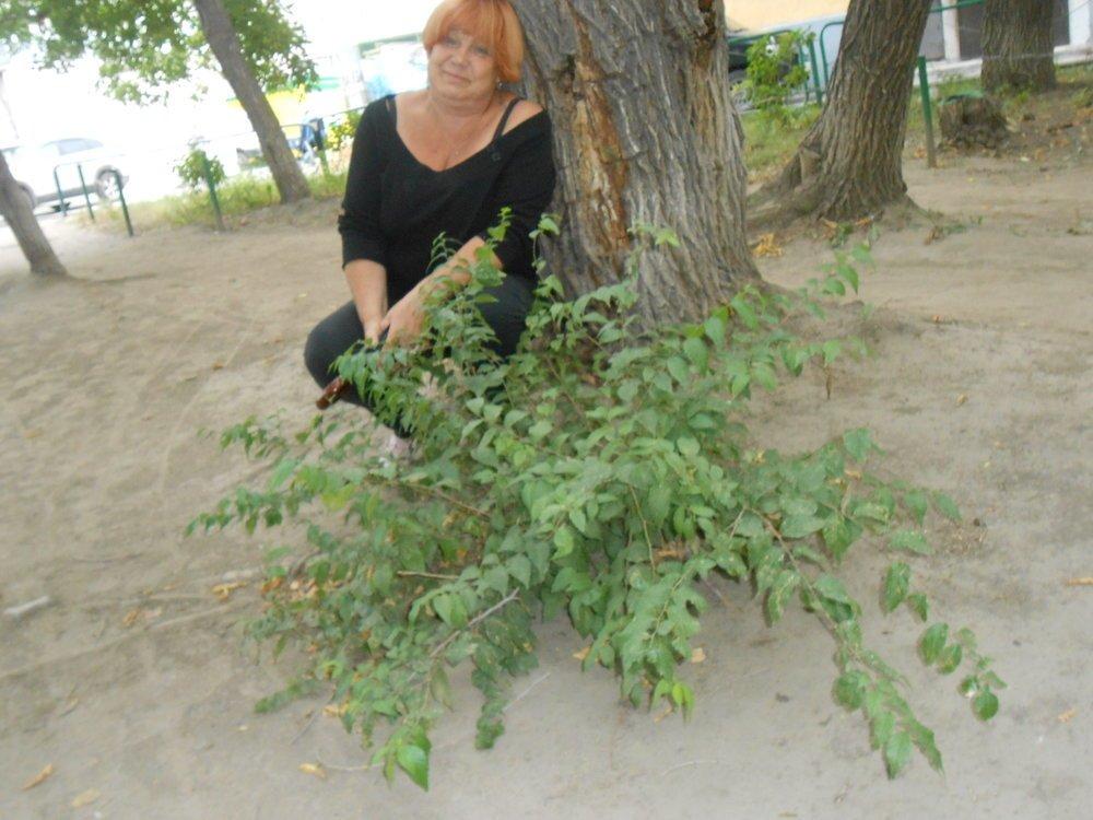 Алекса