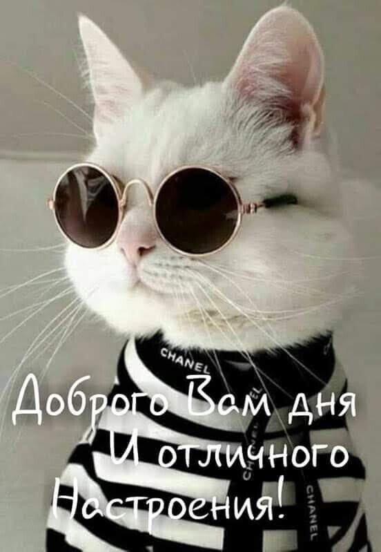 Михалыч