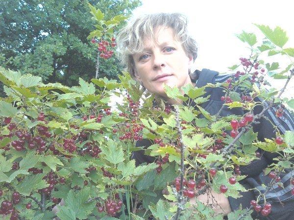 Елена Бабенкова