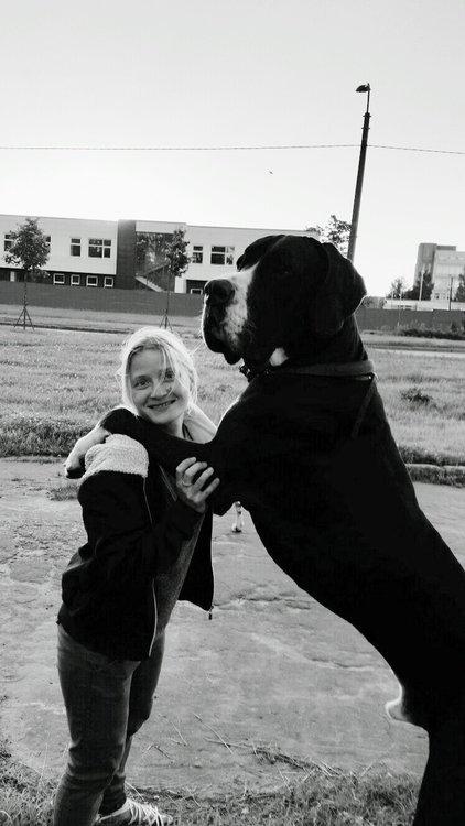 Светик
