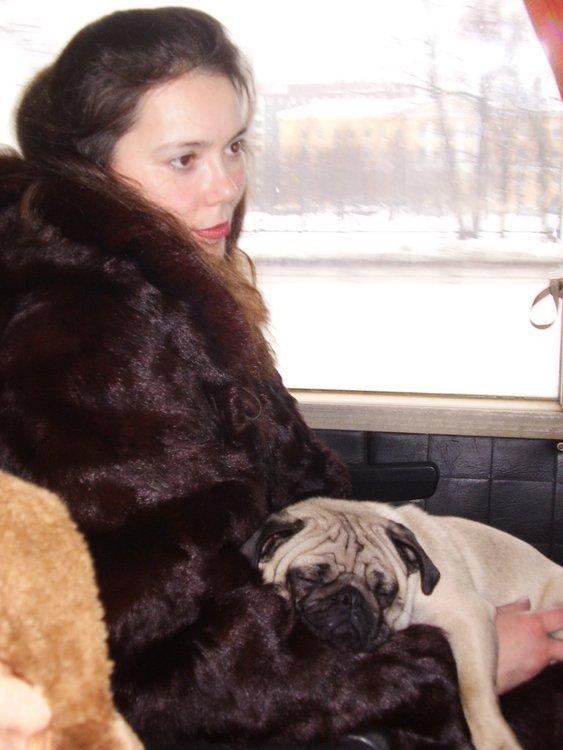Любовь