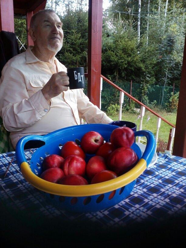 Арнольд