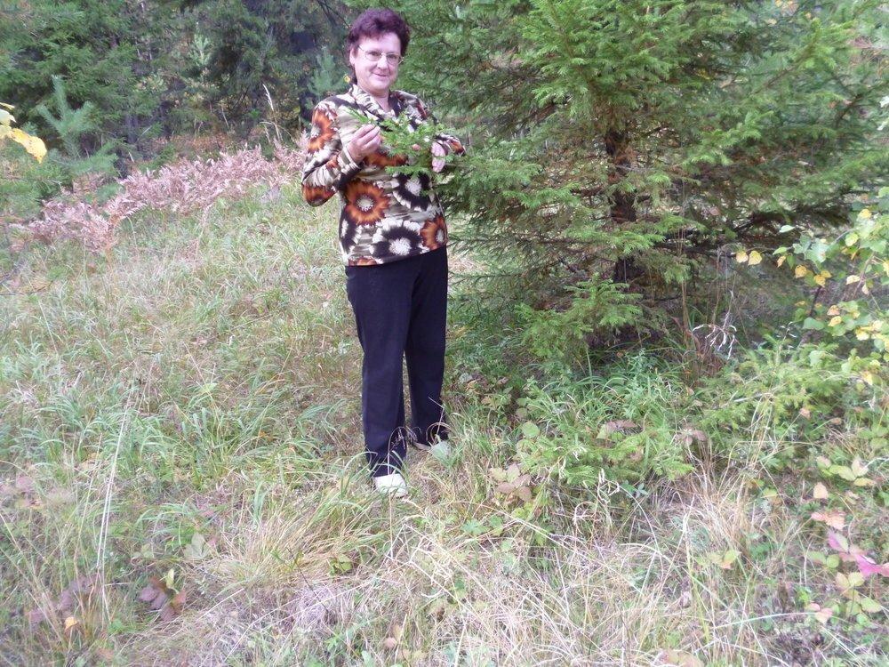 Любовь