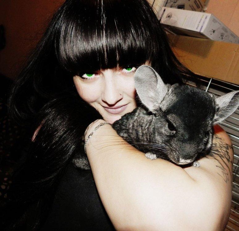 Cat Is Black