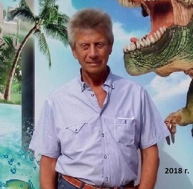 Дельфин
