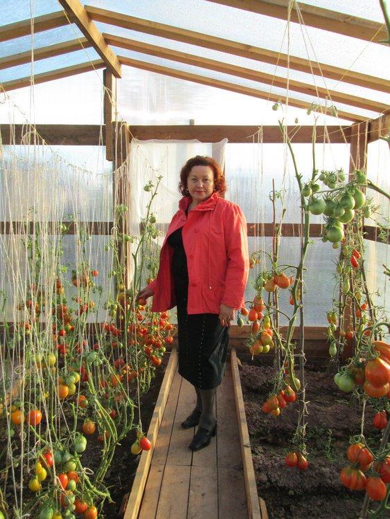 Светлана