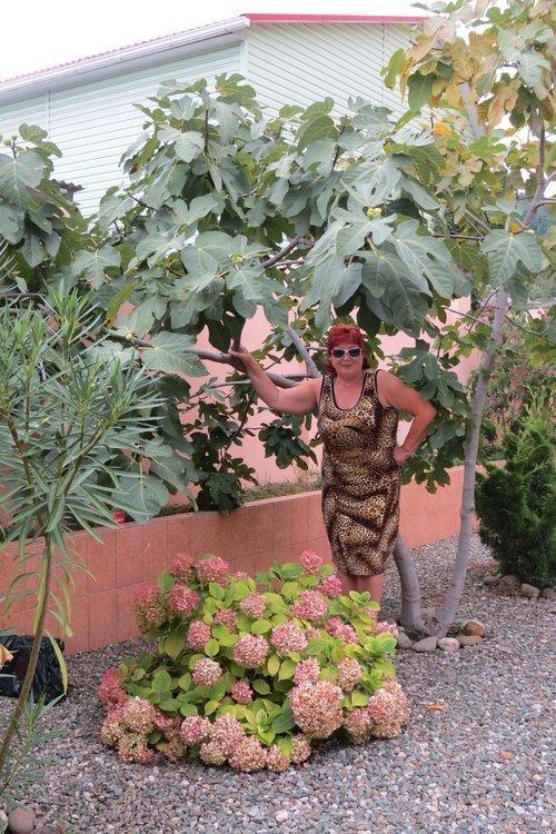 Галина