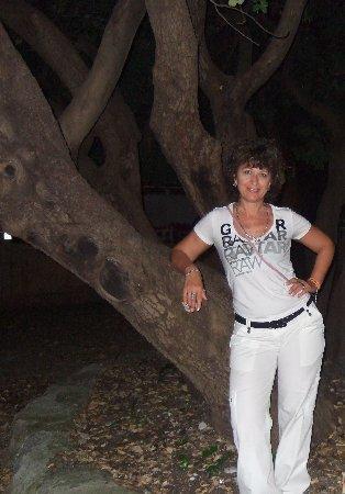 Lubov