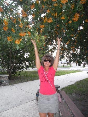 Lubov
