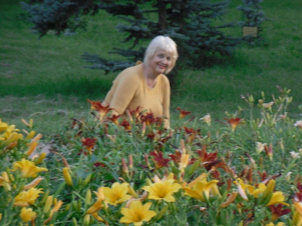 Елена