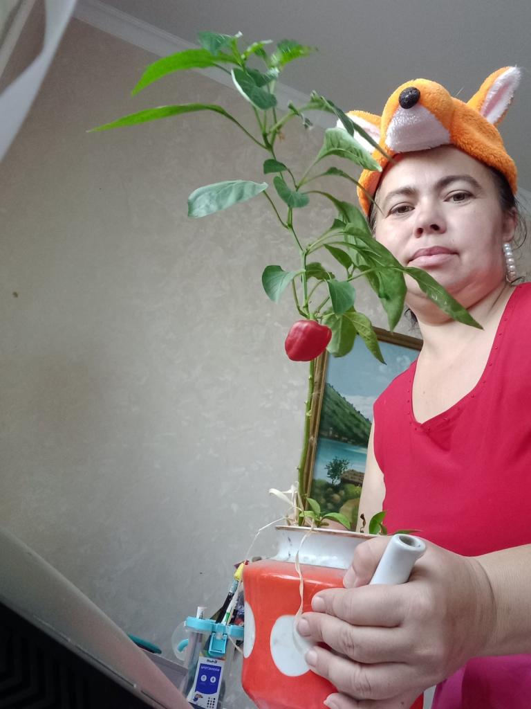 Ася