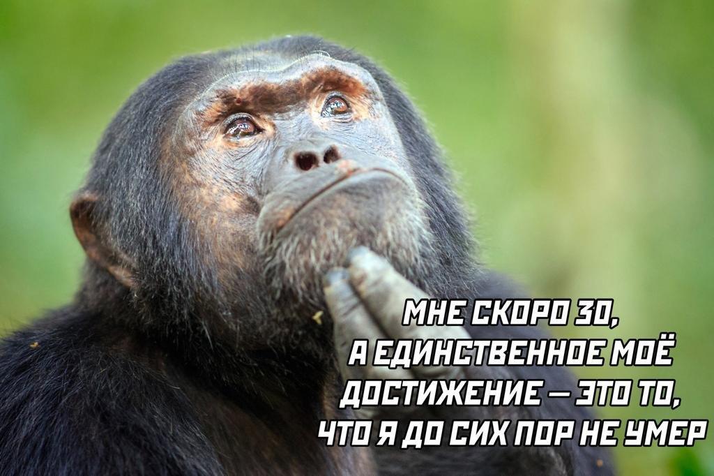 Кант