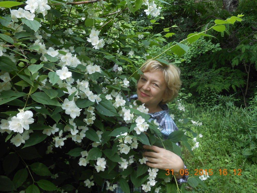 Солнце