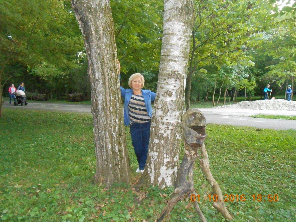 Солнце