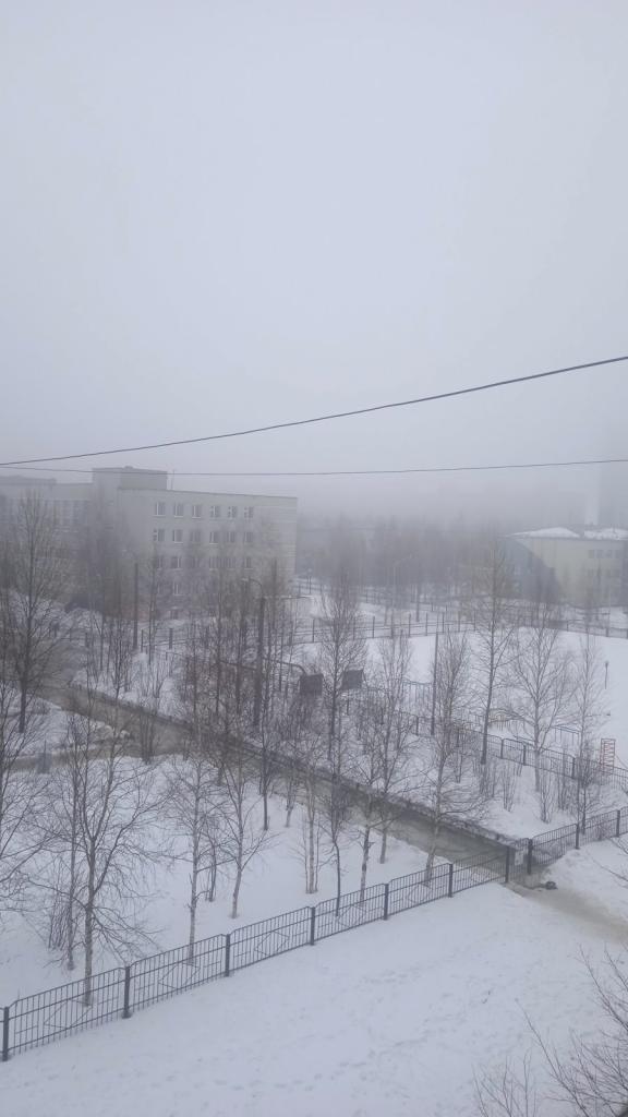 Коля