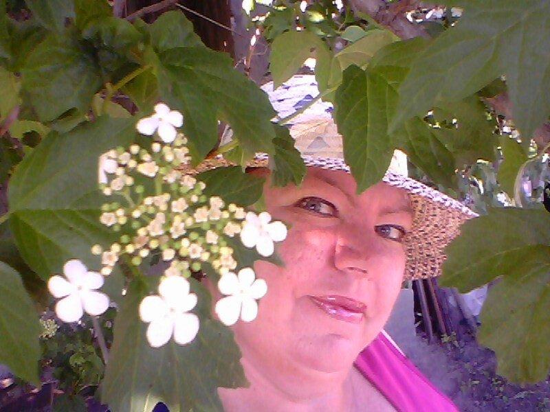 Елена