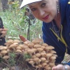 Ольга Багульник