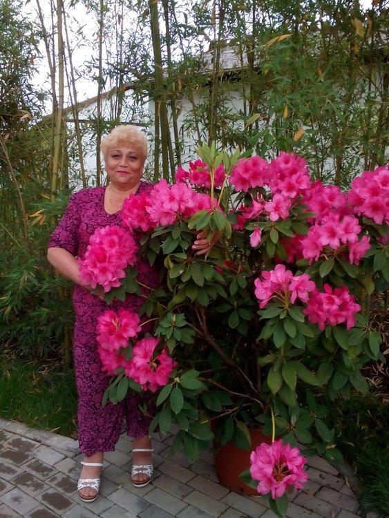 Надежда