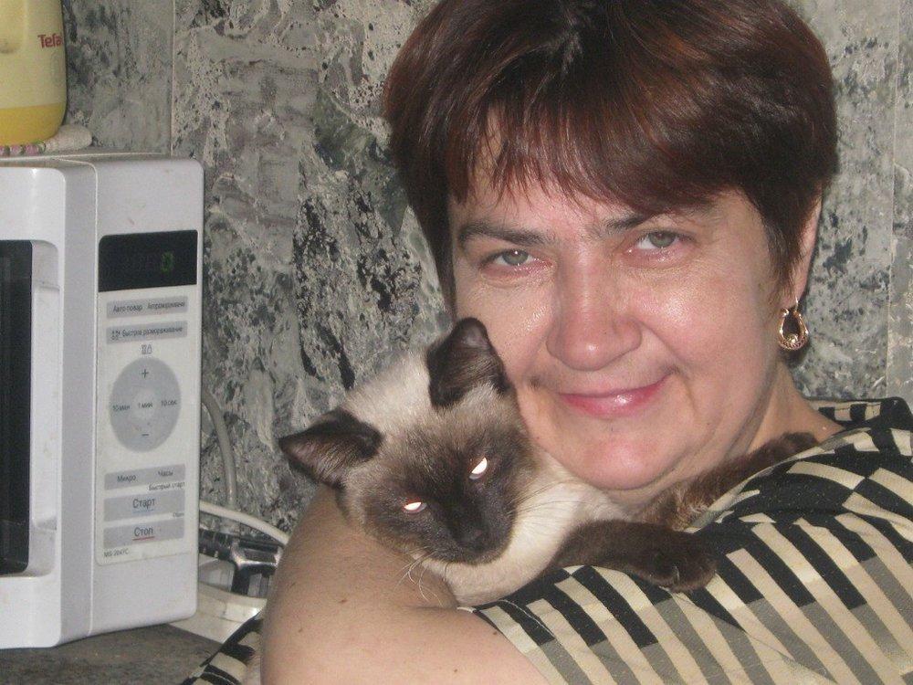 Котик