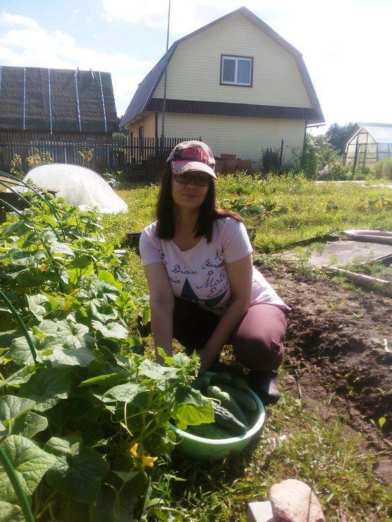 Катя